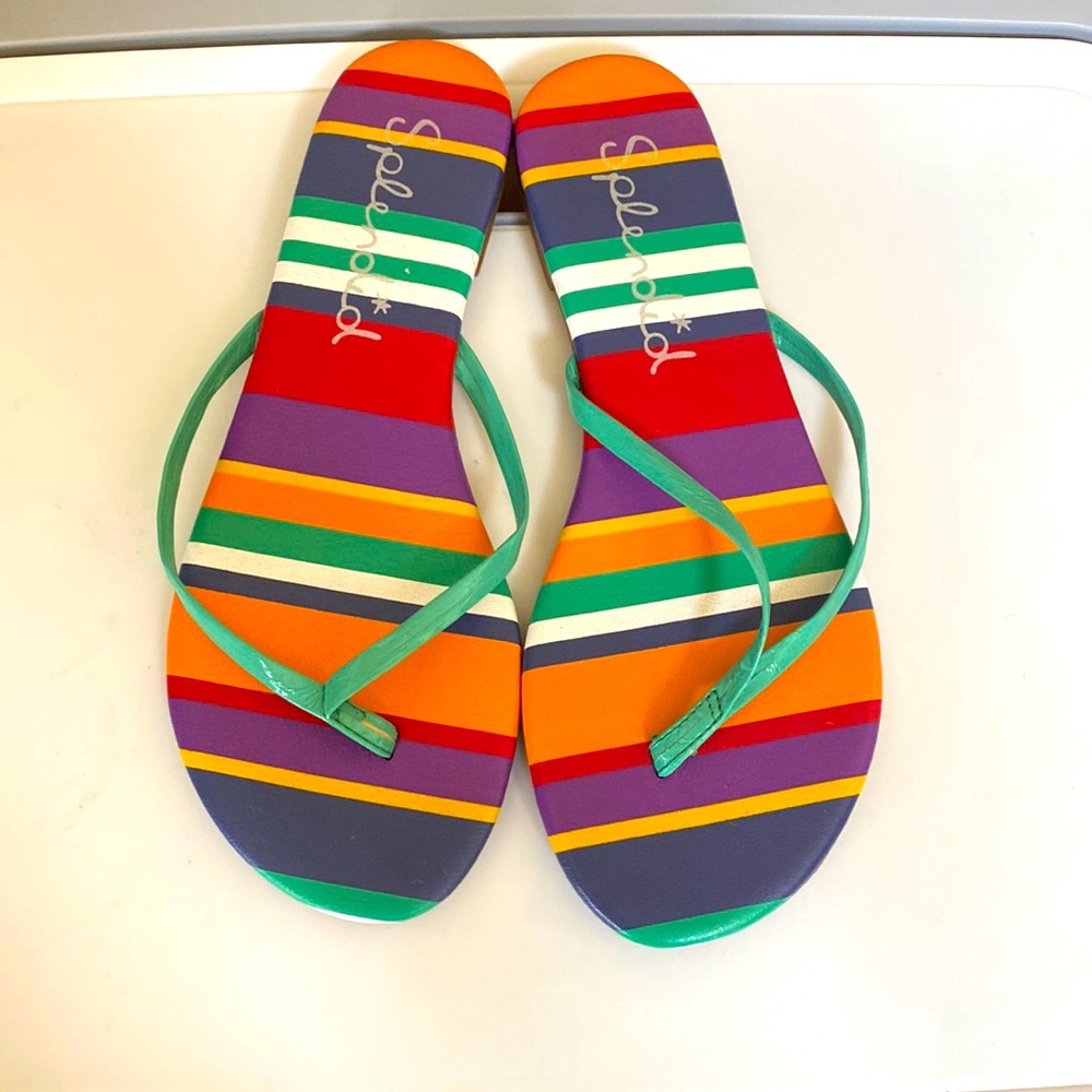 Splendid flip flops